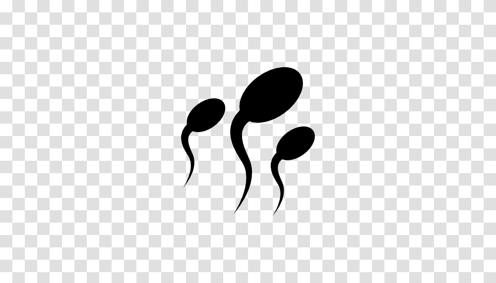 Sperm Clipart Image, Tadpole, Amphibian, Wildlife, Animal Transparent Png