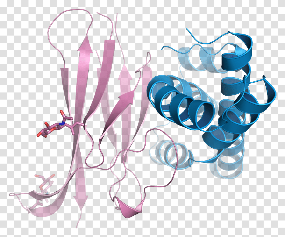 Sperm Crystal Structure Clip Art, Floral Design, Pattern, Light Transparent Png