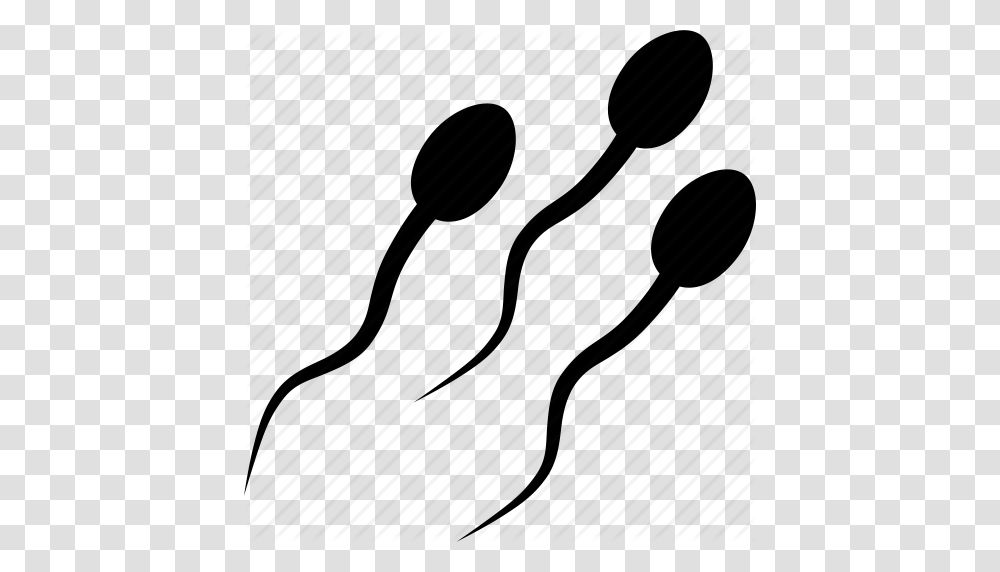 Sperm Image, Darts, Game, Oars Transparent Png