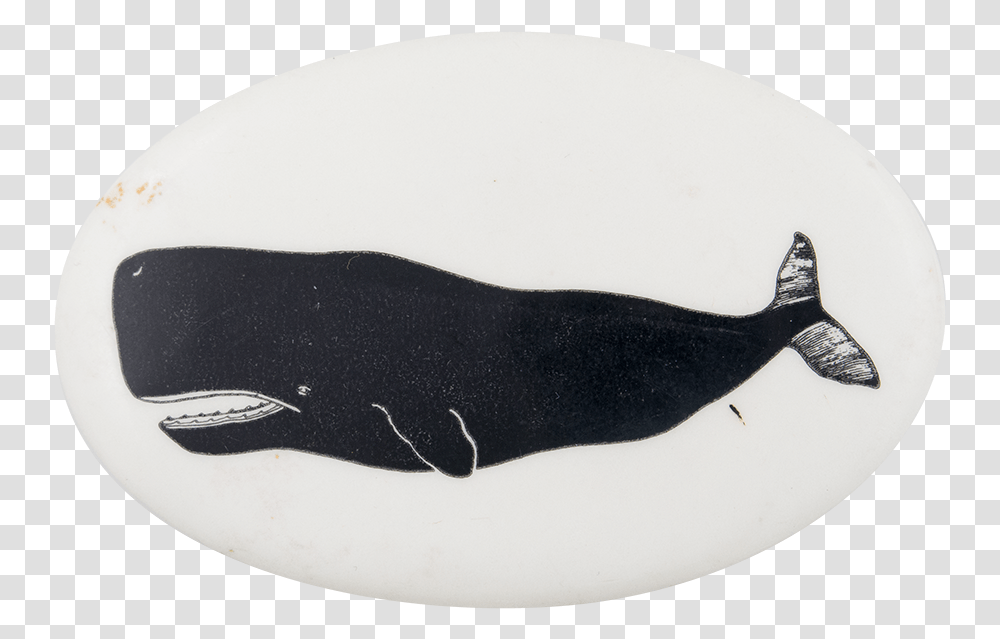 Sperm Whale 2 Art Button Museum Ribbon Seal, Mammal, Animal, Sea Life, Mouse Transparent Png