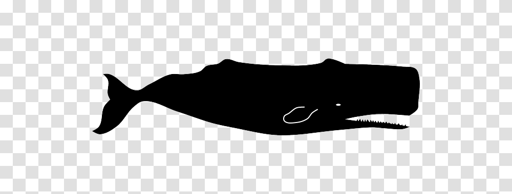 Sperm Whale Clipart Carton, Silhouette, Weapon, Mammal, Animal Transparent Png