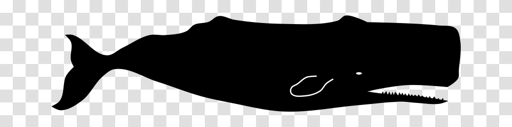 Sperm Whale Clipart, Outdoors Transparent Png