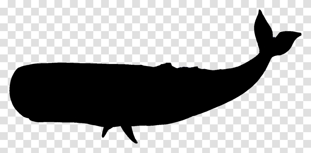 Sperm Whale Cliparts Cliparts Zone With Regard To Whale Clipart, Silhouette, Animal, Water, Sea Life Transparent Png