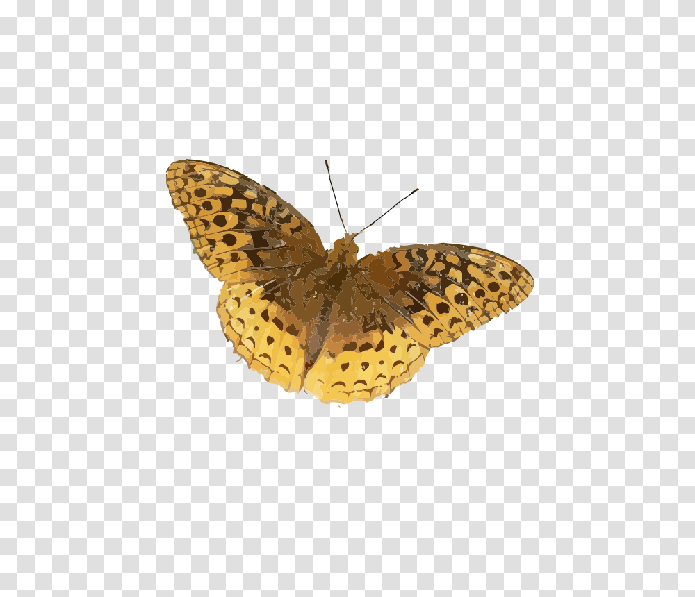 Speyeria Cybele, Animals, Insect, Invertebrate, Butterfly Transparent Png
