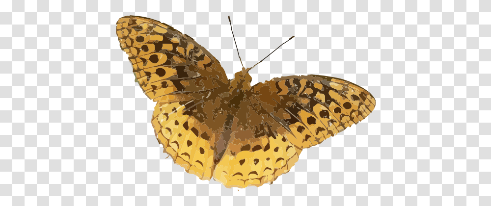 Speyeria Cybele Brown Orange Butterfly, Moth, Insect, Invertebrate, Animal Transparent Png