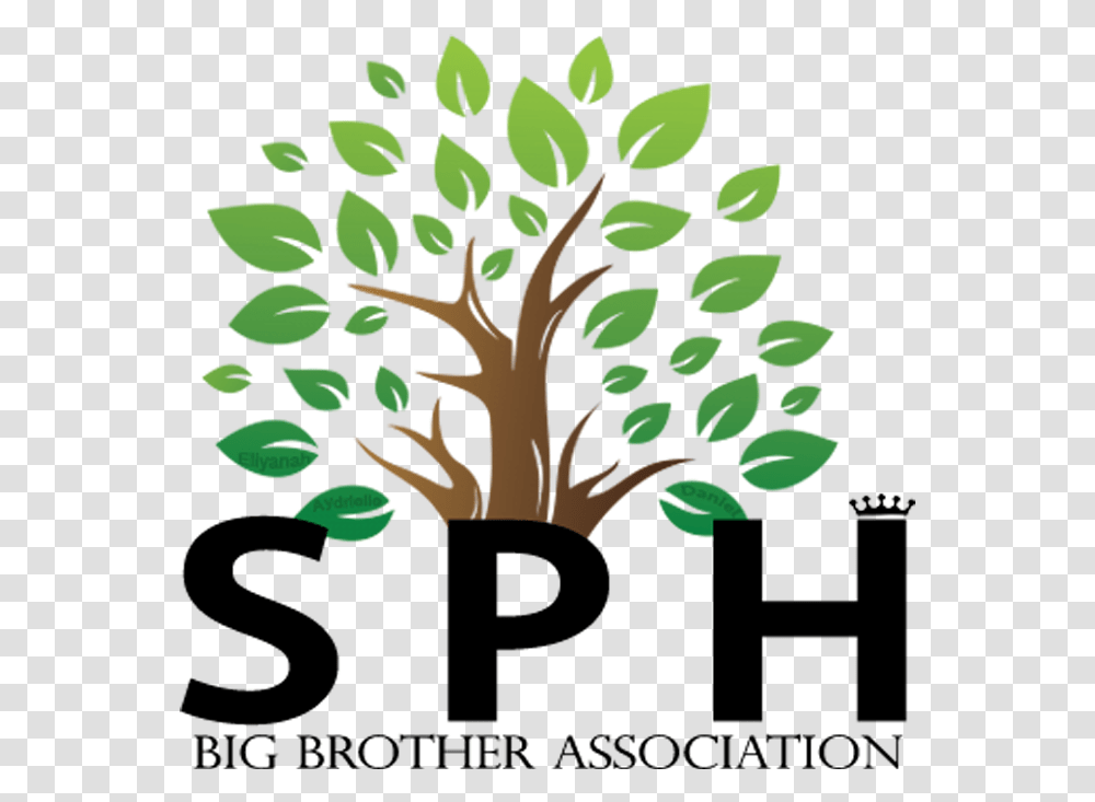 Sph Big Brother Foundation Powershift Africa, Graphics, Art, Leaf, Plant Transparent Png