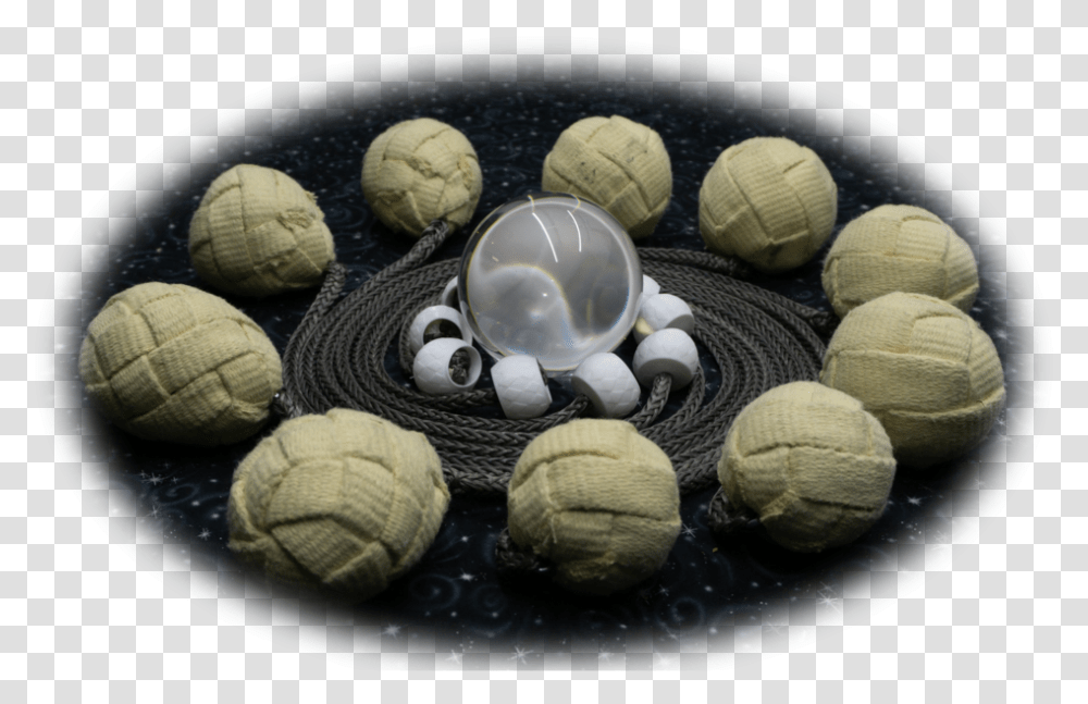 Sphere, Animal, Home Decor, Clam, Seashell Transparent Png