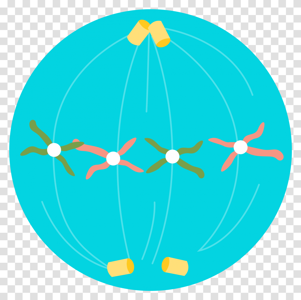 Sphere, Balloon, Network, Pattern Transparent Png