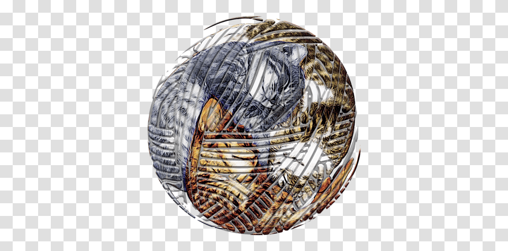 Sphere, Coin, Money, Fisheye, Meal Transparent Png