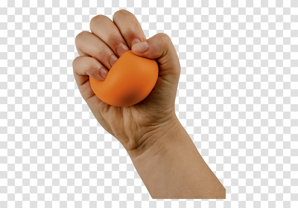 Sphere, Hand, Person, Human, Finger Transparent Png