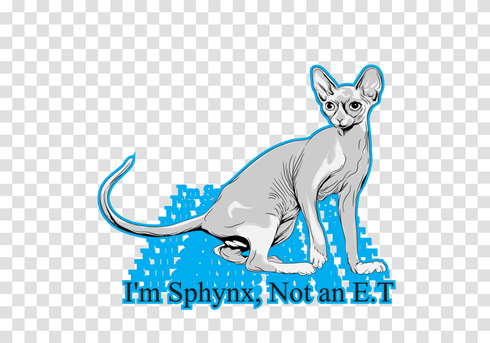 Sphynx Illustration Cat Sphynx Illustration And Vector, Mammal, Animal, Kangaroo, Wallaby Transparent Png