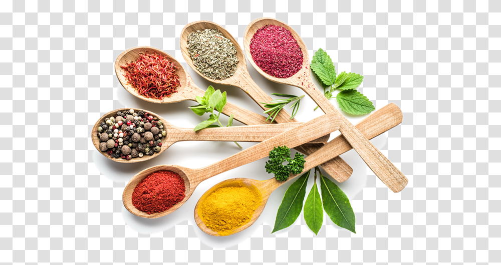 Spices From Posh Spice Indian Takaway Herbs And Spices, Spoon, Cutlery, Plant, Potted Plant Transparent Png