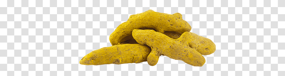 Spices Gryphonyx Soft, Plant, Food, Snake, Reptile Transparent Png