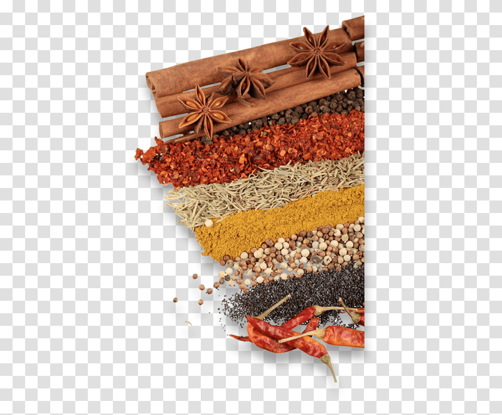 Spices, Plant, Lobster, Seafood, Sea Life Transparent Png