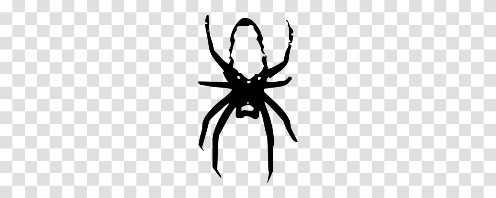 Spider Emotion, Gray, World Of Warcraft Transparent Png