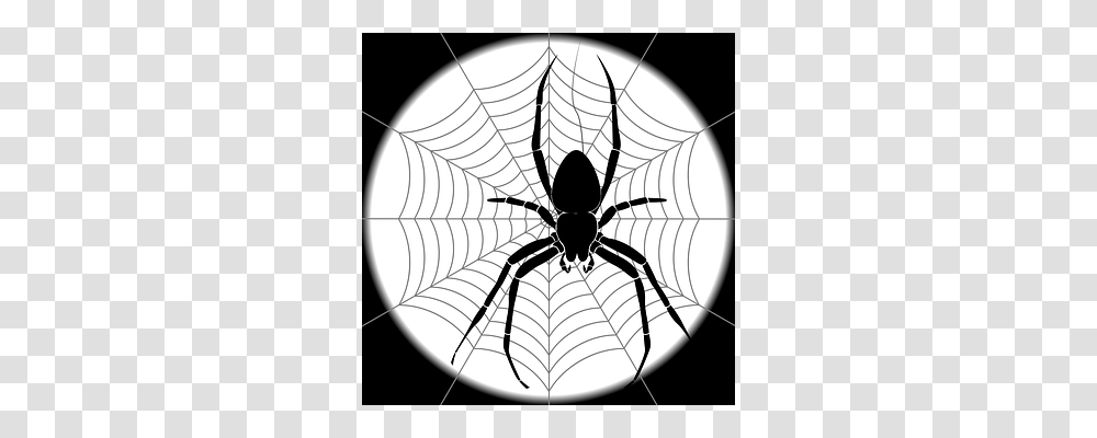 Spider Lamp, Spider Web, Invertebrate, Animal Transparent Png
