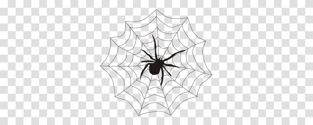 Spider Animals, Spider Web, Rug Transparent Png