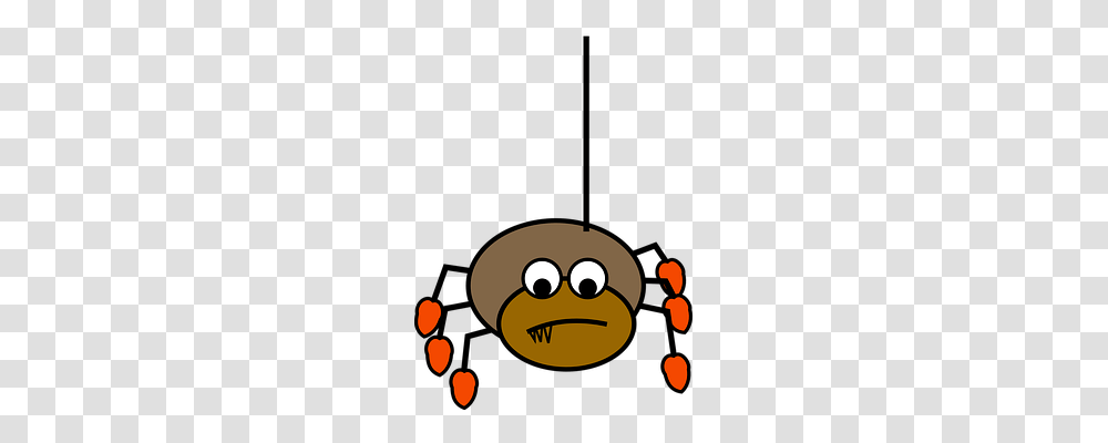 Spider Animals, Angry Birds, Plant Transparent Png
