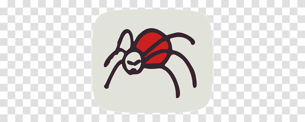 Spider Animal, Insect, Invertebrate, Antelope Transparent Png