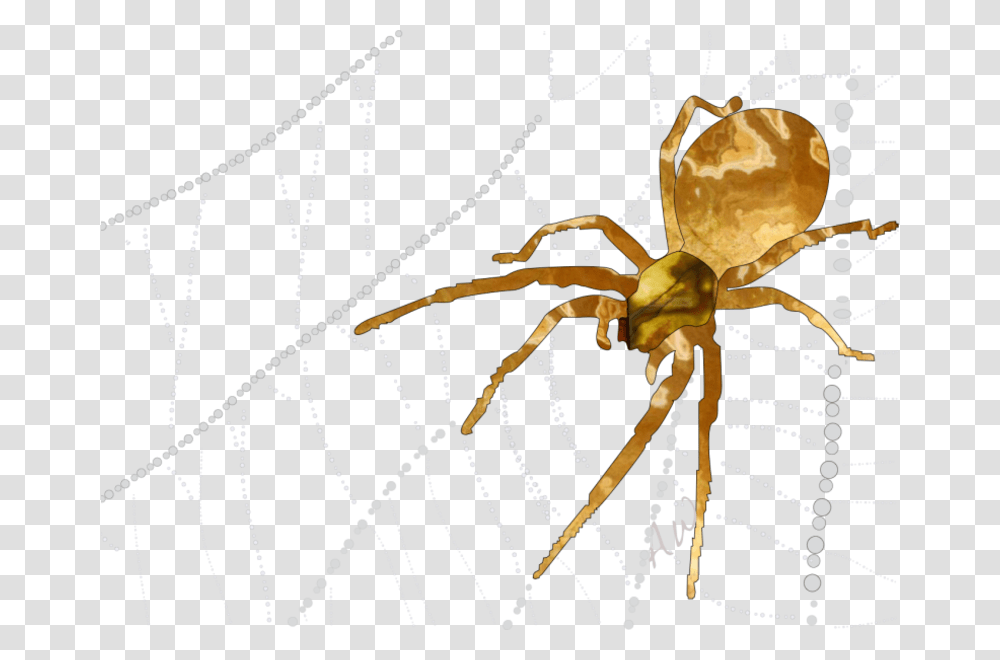 Spider 2 Spider Web, Invertebrate, Animal, Arachnid, Garden Spider Transparent Png