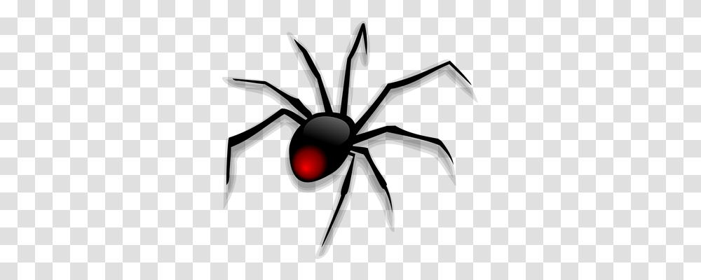 Spider Nature, Outdoors, Flare, Light Transparent Png