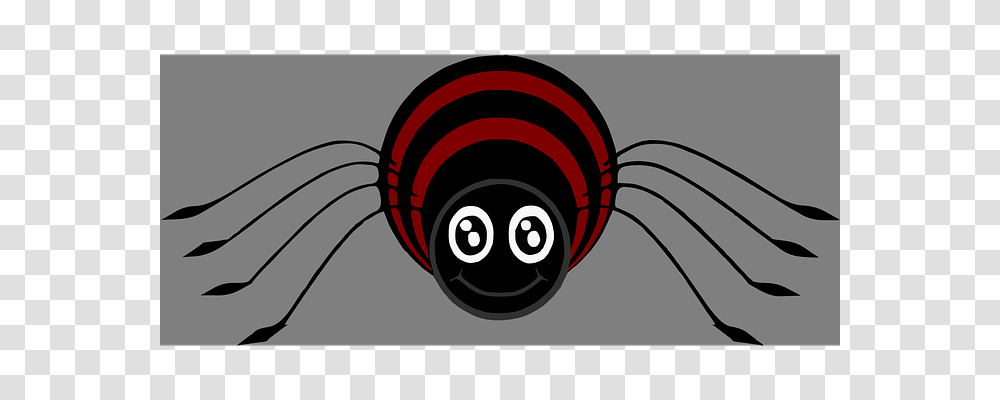 Spider Animals, Helmet Transparent Png