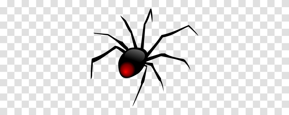 Spider Animals, Flare, Light, Astronomy Transparent Png