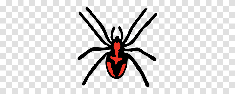 Spider Emotion, Insect, Invertebrate, Animal Transparent Png