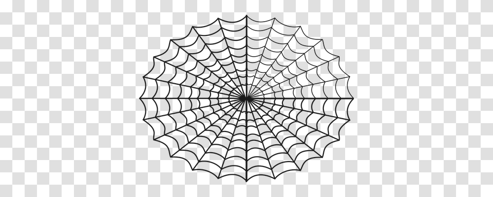 Spider Animals, Rug, Spider Web Transparent Png