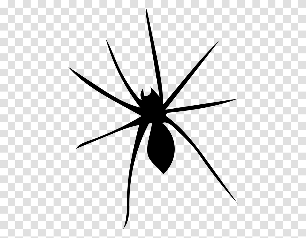 Spider Arachnophobia Arachnid Nature Scary Fear, Gray, World Of Warcraft Transparent Png