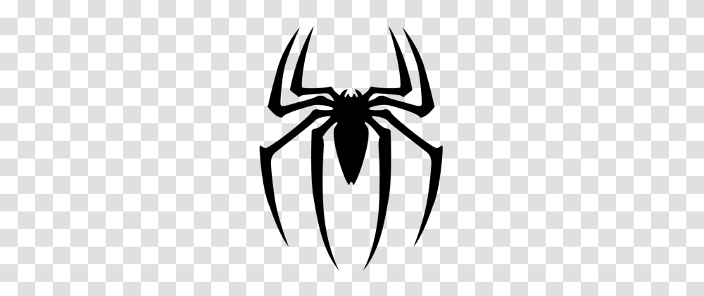 Spider, Bow, Animal, Invertebrate, Arachnid Transparent Png