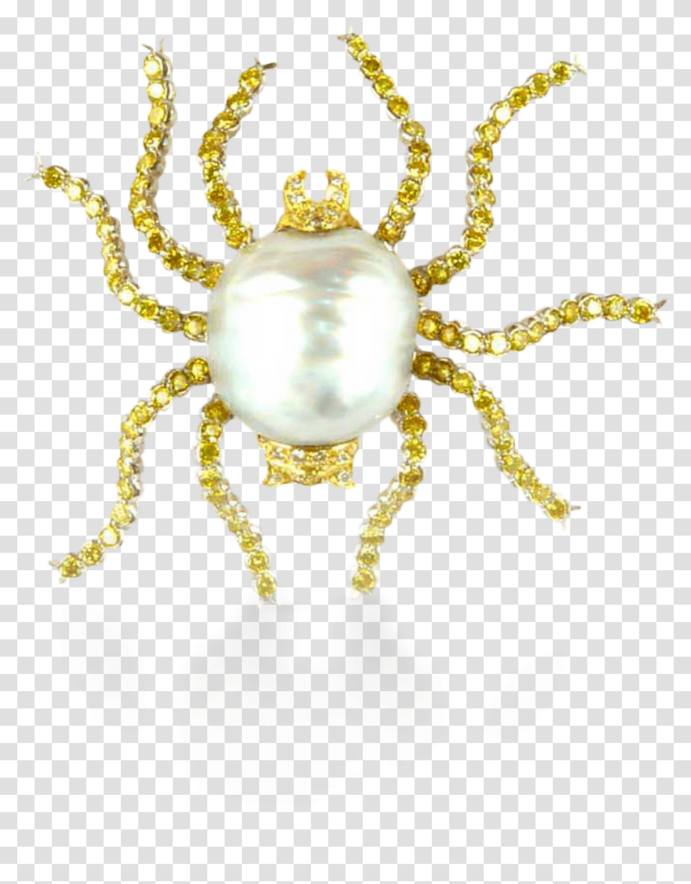 Spider Brooch Animalier Official Buccellati Website Gold Spider, Sea Life, Seafood, Crab, Invertebrate Transparent Png