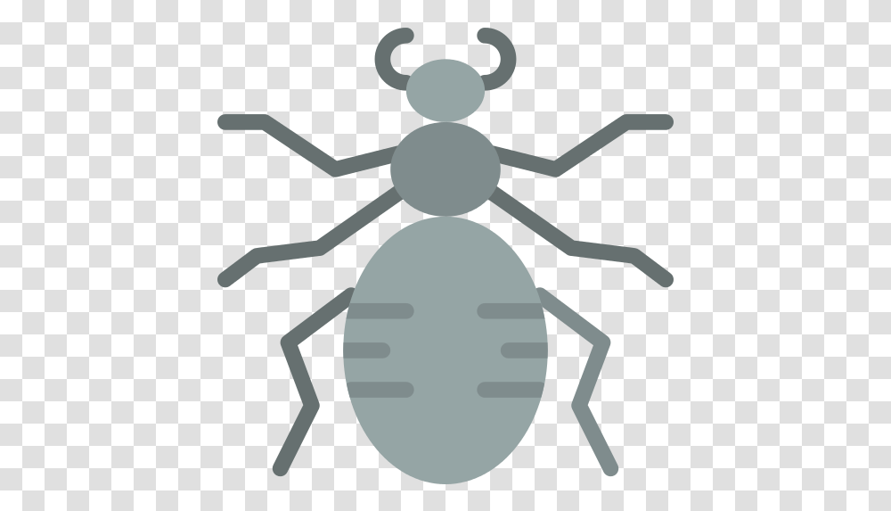 Spider Bugs Icon Illustration, Animal, Invertebrate, Insect, Reptile Transparent Png