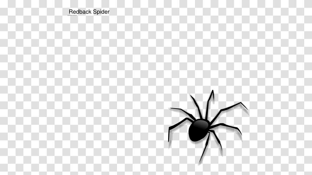 Spider Clip Art, Animal, Invertebrate, Arachnid, Insect Transparent Png