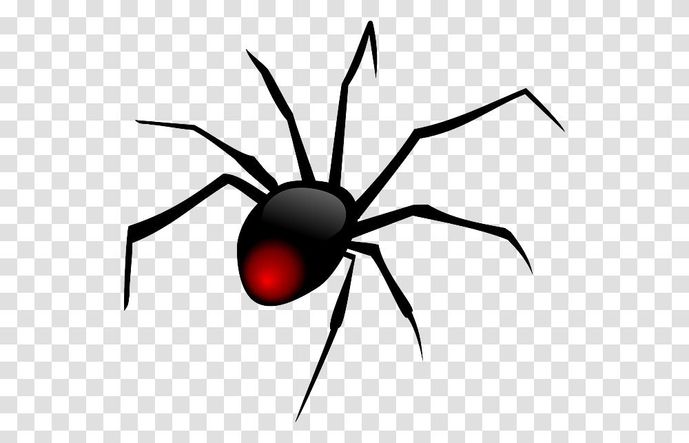Spider Clip Art, Animal, Invertebrate, Black Widow, Insect Transparent Png