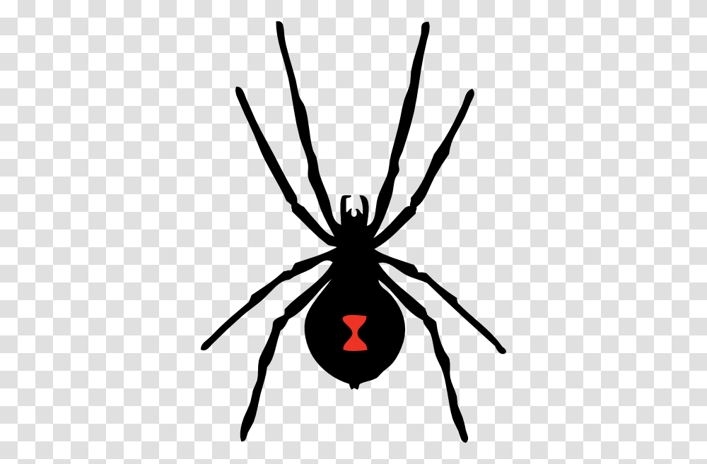 Spider Clip Art, Black Widow, Insect, Invertebrate, Animal Transparent Png
