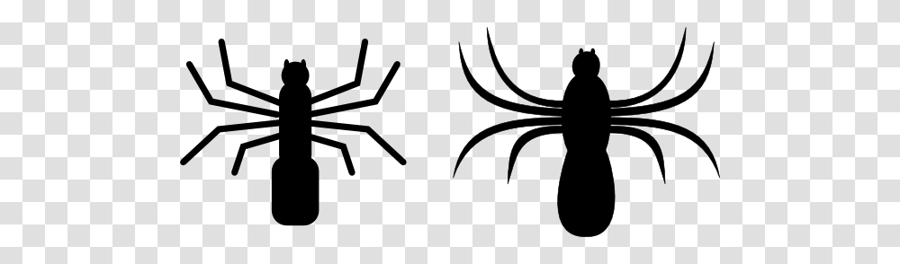 Spider Clip Art Free Vector, Animal, Sea Life, Seafood, Cross Transparent Png