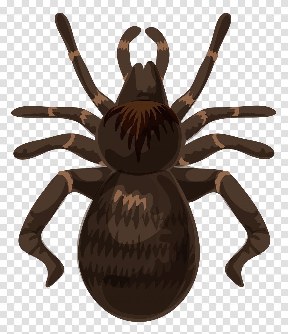 Spider Clip Art, Invertebrate, Animal, Insect, Dung Beetle Transparent Png