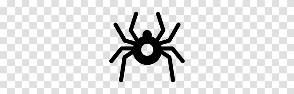 Spider Clipart, Animal, Invertebrate, Tarantula, Insect Transparent Png