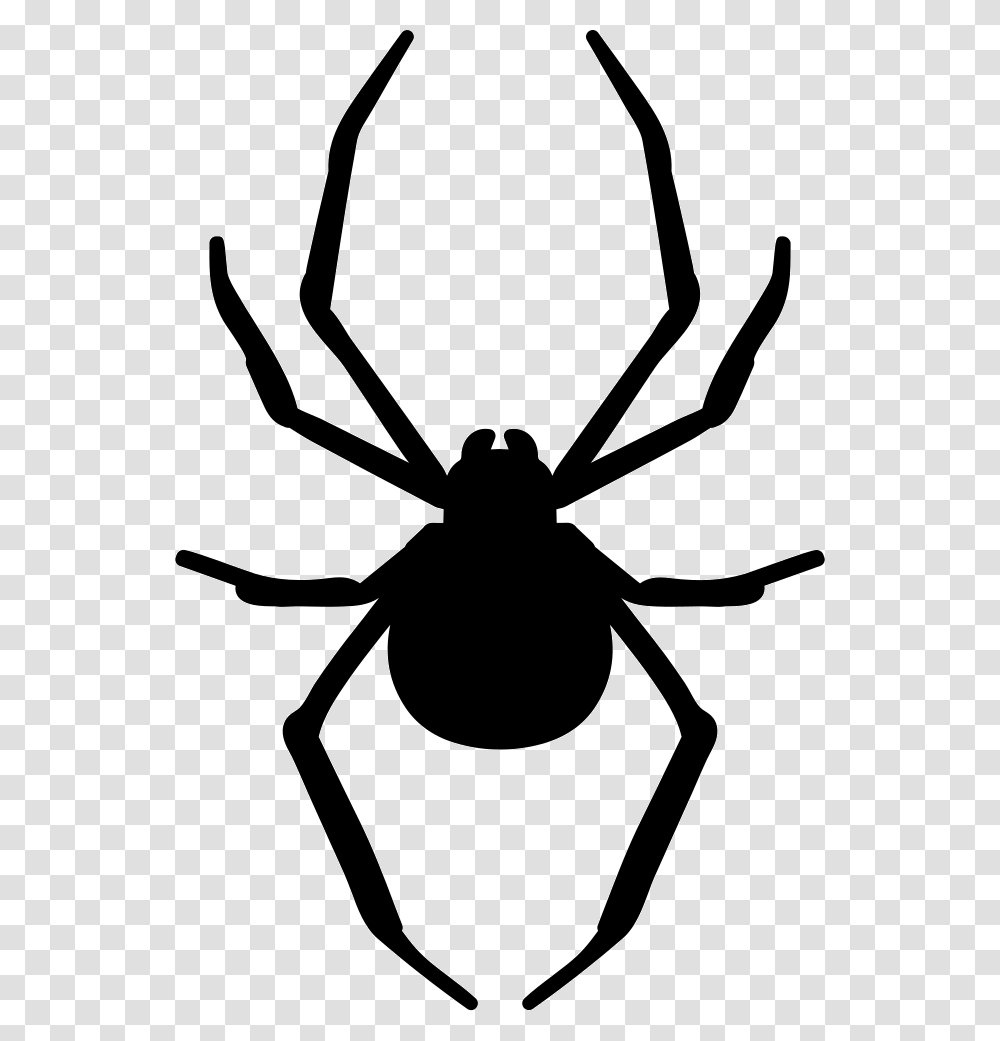 Spider Clipart Arthropod, Stencil, Animal, Invertebrate, Insect Transparent Png
