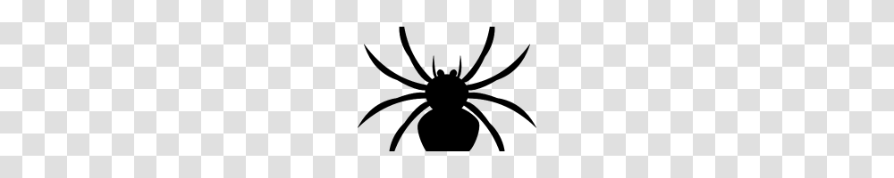 Spider Clipart Black And White Black And White Spider In A Web, Gray, World Of Warcraft Transparent Png