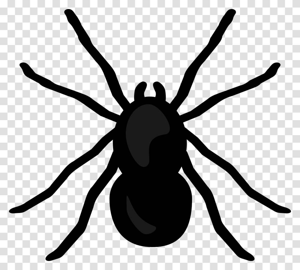 Spider Clipart No Background Download Spider Clipart, Invertebrate, Animal, Arachnid, Insect Transparent Png