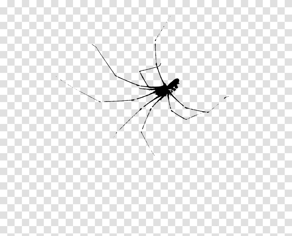 Spider Clipart Spider Web, Gray, World Of Warcraft Transparent Png