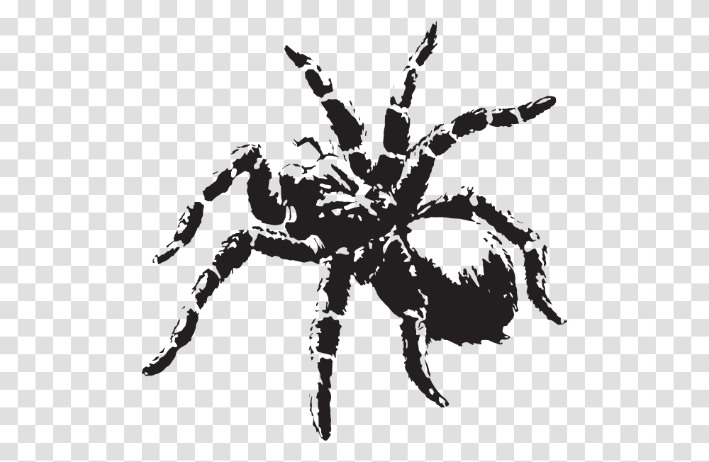 Spider Clipart Tarantula Scary Spider, Invertebrate, Animal, Arachnid, Insect Transparent Png