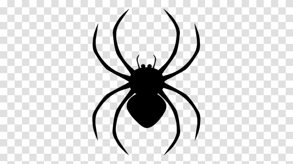 Spider Clipart Top, Gray, World Of Warcraft Transparent Png