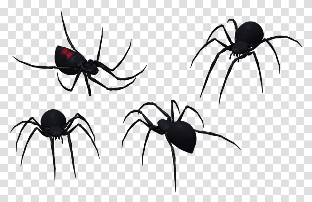 Spider Clipart Tribal Black Widow Spider Pics Black And White, Invertebrate, Animal, Arachnid, Insect Transparent Png