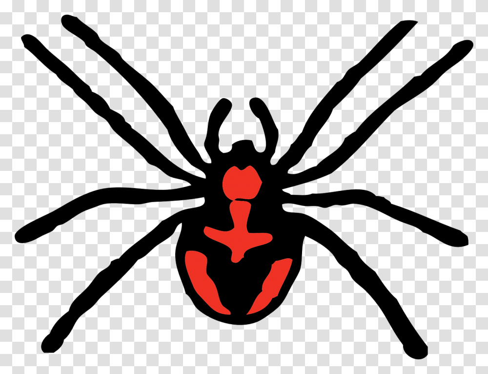 Spider Cliparts, Logo, Crowd Transparent Png