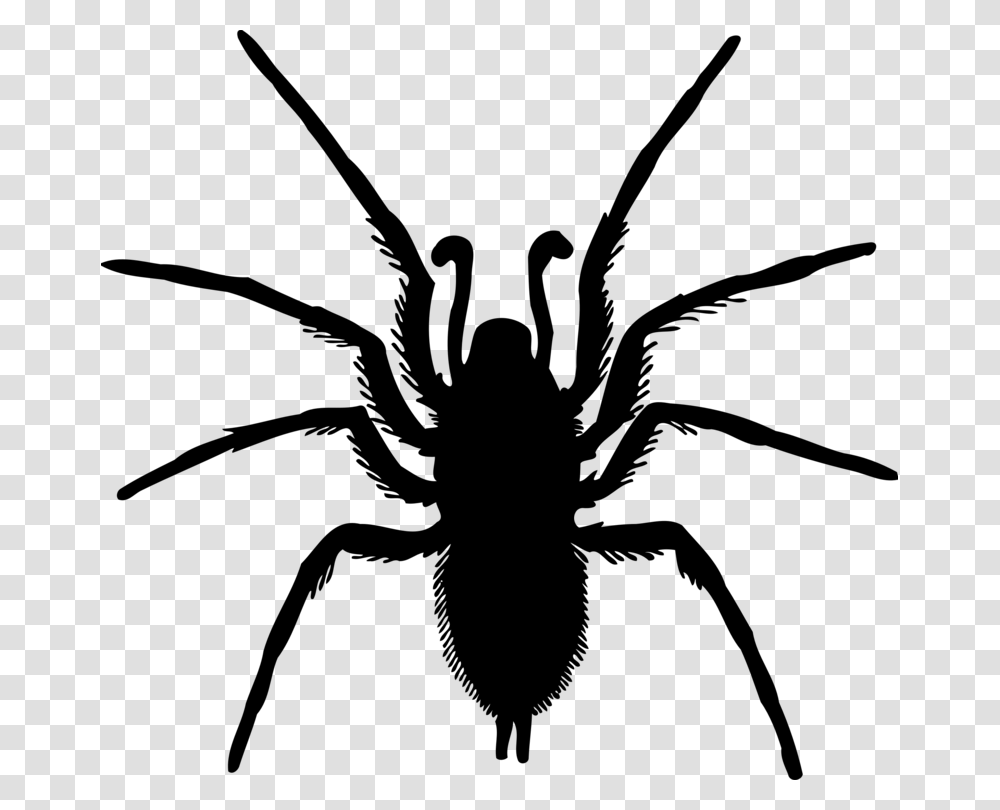 Spider Drawing Silhouette Computer Icons, Gray, World Of Warcraft Transparent Png