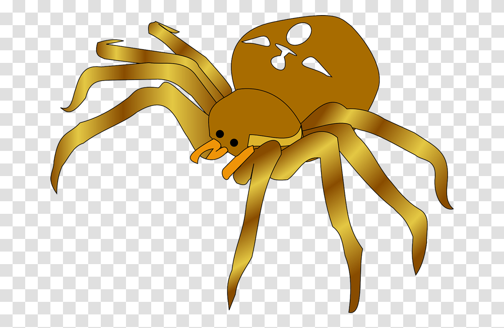 Spider Free To Use Clip Art Clip Art Of Spider, Invertebrate, Animal, Garden Spider, Insect Transparent Png
