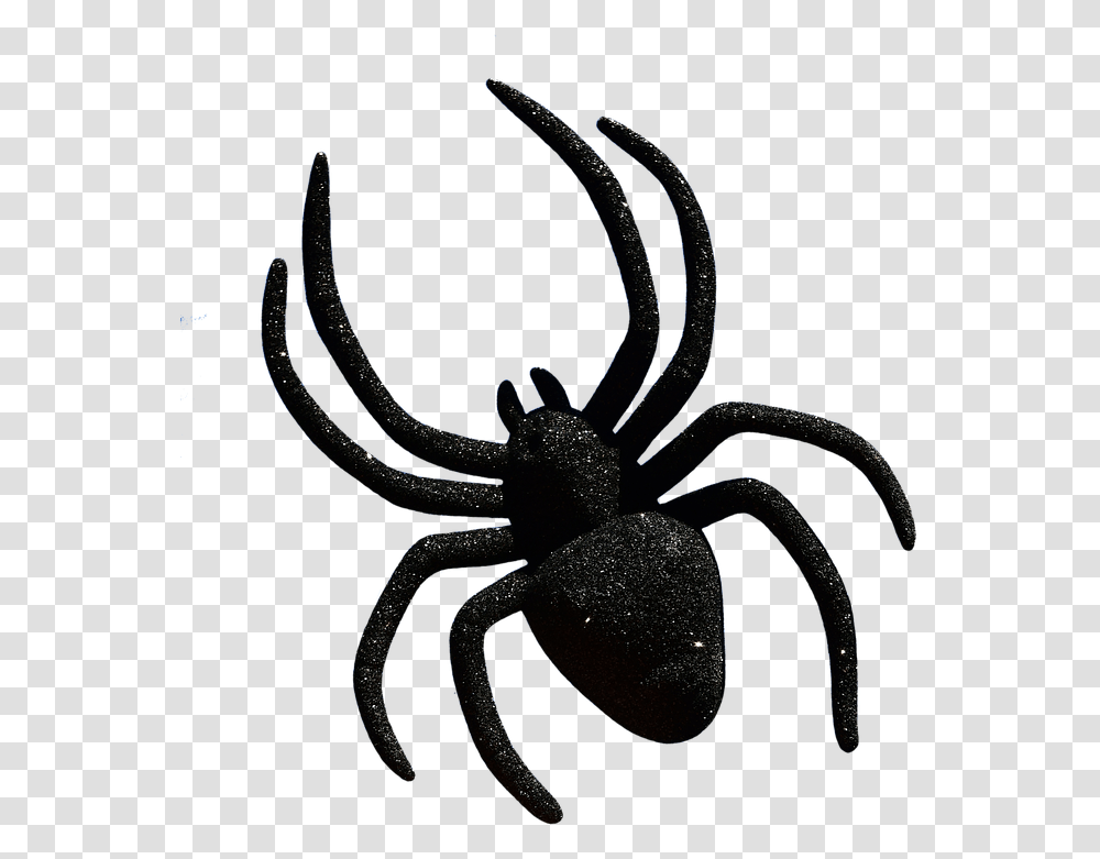 Spider Halloween Accessories Cropping Exemption Halloween Spider, Invertebrate, Animal, Tarantula, Insect Transparent Png